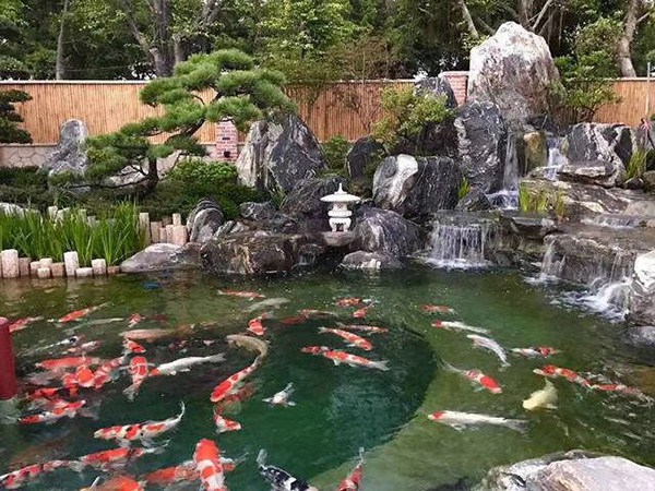 泰山石假山